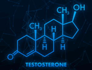 Testosteron - struktura
